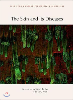 The Skin and Its Diseases