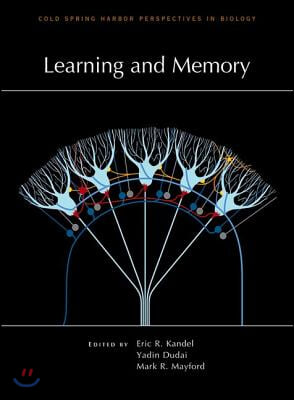 Learning and Memory