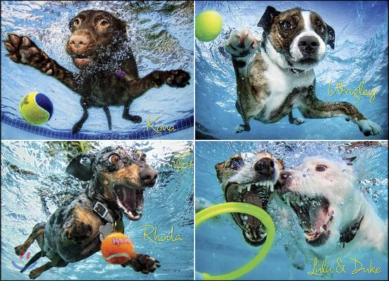 Underwater Dogs 2