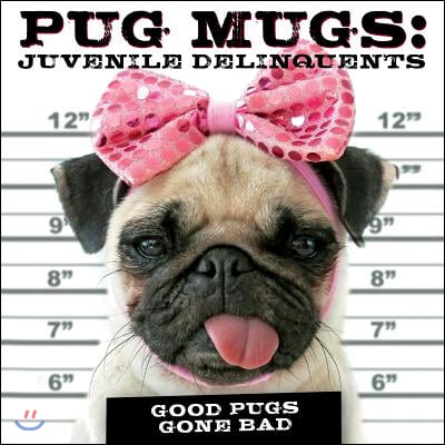 Pug Mugs