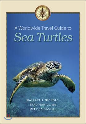 A Worldwide Travel Guide to Sea Turtles