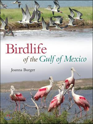 Birdlife of the Gulf of Mexico