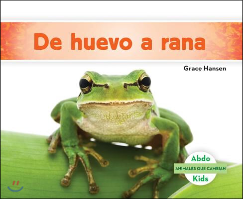 de Huevo a Rana (Becoming a Frog ) (Spanish Version)