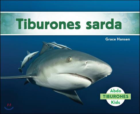 Tiburones Sarda (Bull Sharks)