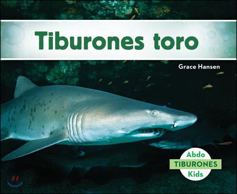 Tiburones Toro (Sand Tiger Sharks)