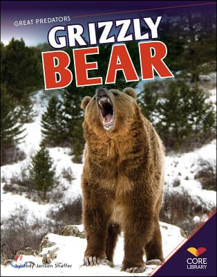 Grizzly Bear