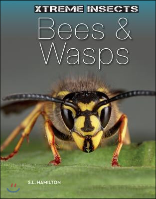 Bees &amp; Wasps