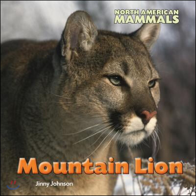 Mountain Lion