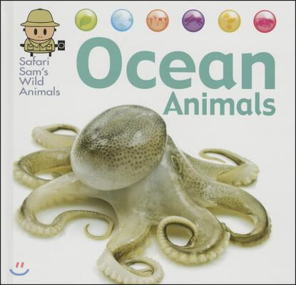 Ocean Animals