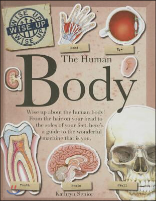 The Human Body