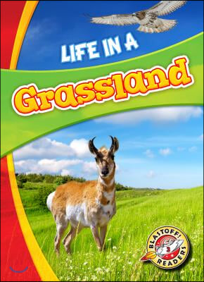 Life in a Grassland