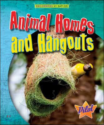 Animal Homes and Hangouts