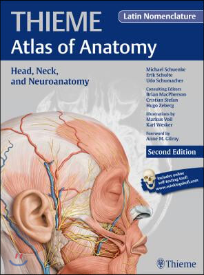 Head, Neck, and Neuroanatomy