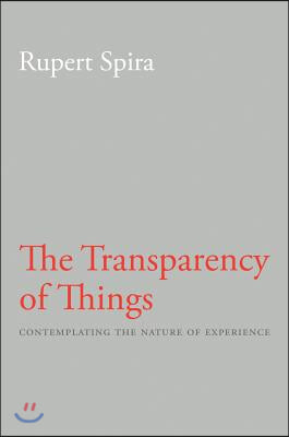 The Transparency of Things: Contemplating the Nature of Experience