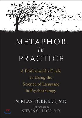 Metaphor in Practice: A Professional's Guide to Using the Science of Language in Psychotherapy