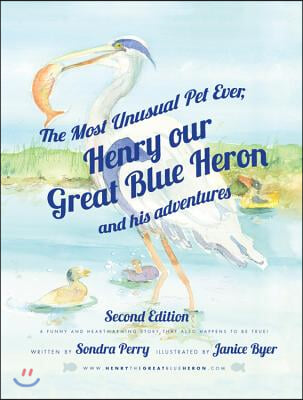 The Most Unusual Pet Ever: Henry, Our Great Blue Heron and His Adventures