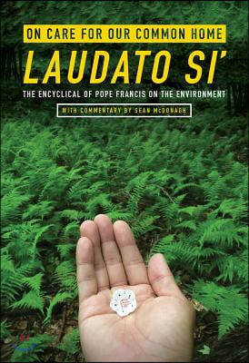 On Care for Our Common Home, Laudato Si': The Encyclical of Pope Francis on the Environment with Commentary by Sean McDonagh