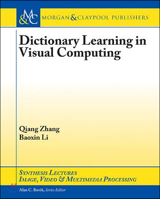 Dictionary Learning in Visual Computing