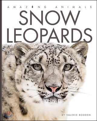 Snow Leopards