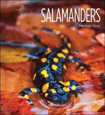 Salamanders