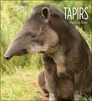 Tapirs