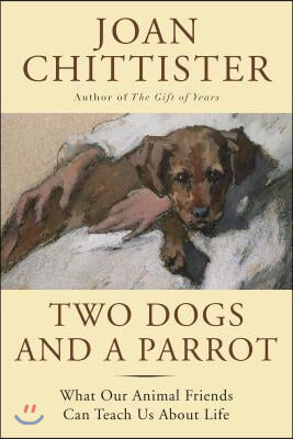 Two Dogs and a Parrot: What Our Animal Friends Can Teach Us about Life