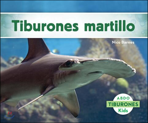 Tiburones Martillo (Hammerhead Sharks)