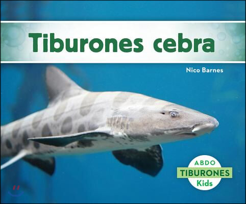 Tiburones Cebra (Zebra Sharks)