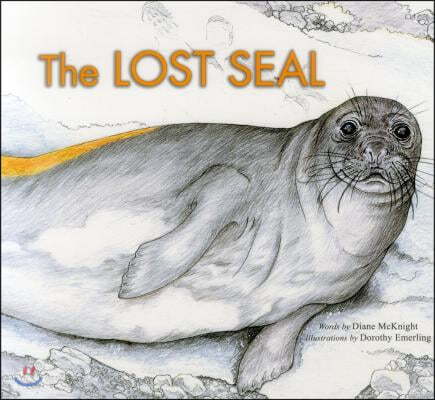 The Lost Seal