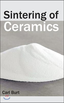 Sintering of Ceramics