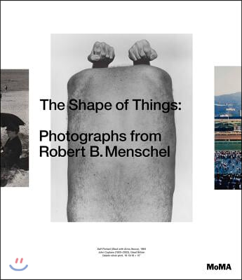 The Shape of Things: Photographs from Robert B. Menschel