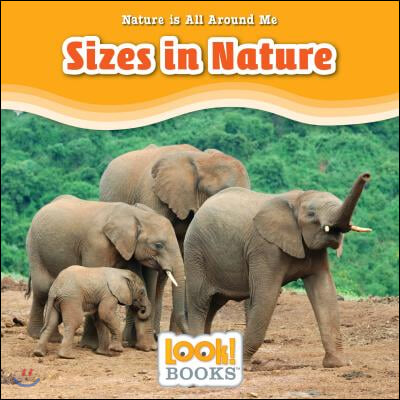 Sizes in Nature