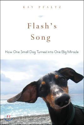 Flash&#39;s Song: How One Small Dog Turned Into One Big Miracle