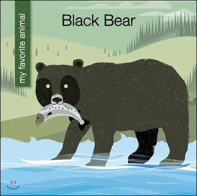 Black Bear