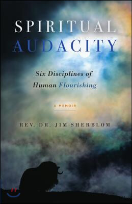 Spiritual Audacity: Six Disciplines of Human Flourishing