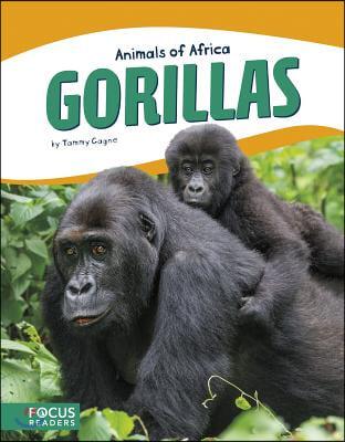 Gorillas