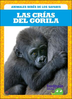 Las Cr&#237;as del Gorila (Gorilla Infants)