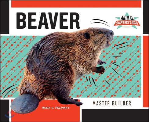 Beaver: Master Builder