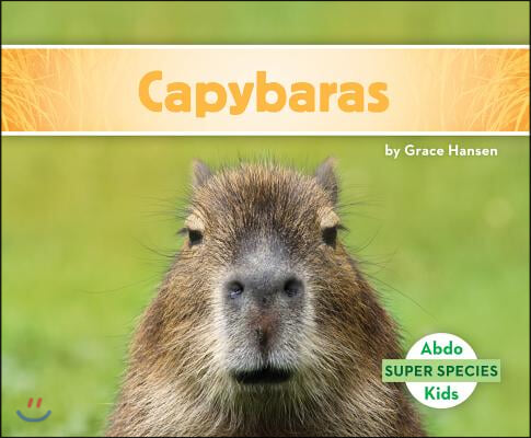 Capybaras