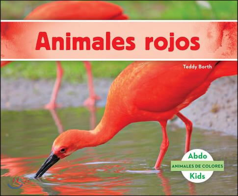 Animales Rojos (Red Animals) (Spanish Version)