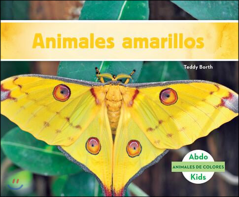 Animales Amarillos (Yellow Animals) (Spanish Version)