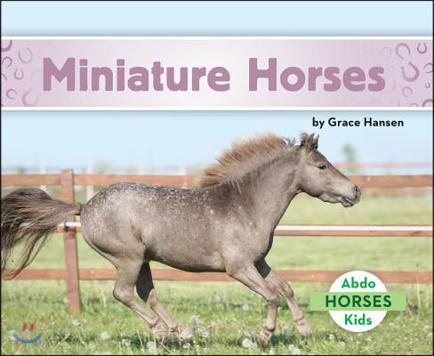 Miniature Horses