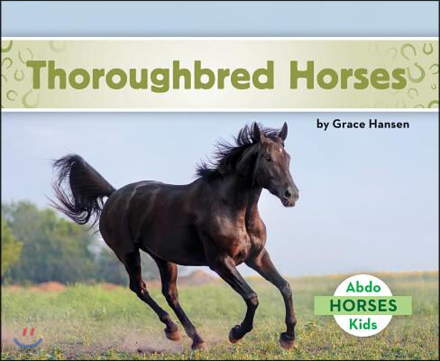 Thoroughbred Horses