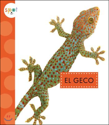 El Geco / Geckos