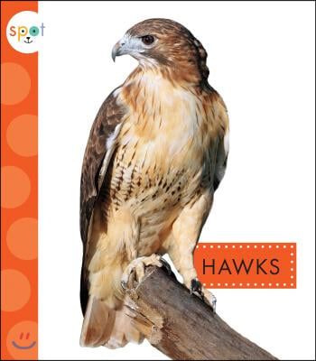 Hawks