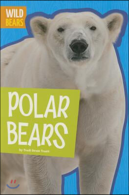 Polar Bears