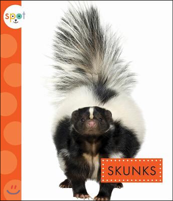 Skunks