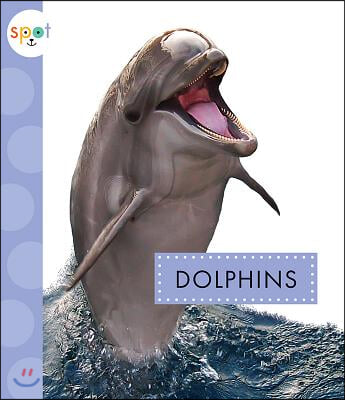 Dolphins