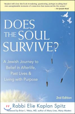 Does the Soul Survive? (2nd Edition): A Jewish Journey to Belief in Afterlife, Past Lives &amp; Living with Purpose