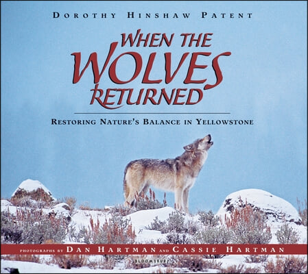 When the Wolves Returned